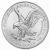 2023 American Eagle Silver Coin, Tube of 20
