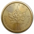 2023 Canadian Maple Leaf 1/2 Ounce Gold Coin