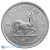 Tube of 25 x 2024 South African Krugerrand Silver Coins