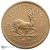 2024 1 Ounce South African Krugerrand