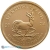 2024 1/2 Ounce South African Krugerrand  
