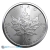 2023 Canadian Maple Leaf 1 Oz Platinum Coin