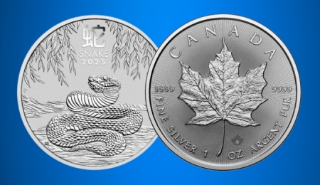 Bullion Coins vs. Numismatic Coins: Differences