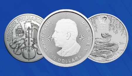 The top 5 silver coins for 2025